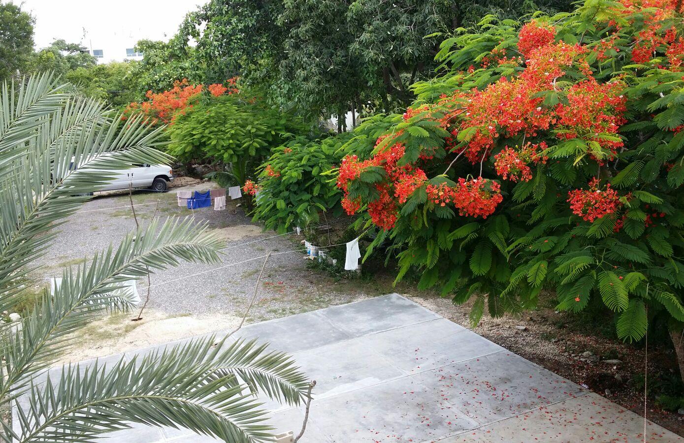 Mansion Giahn Bed&breakfast 2* Cancún