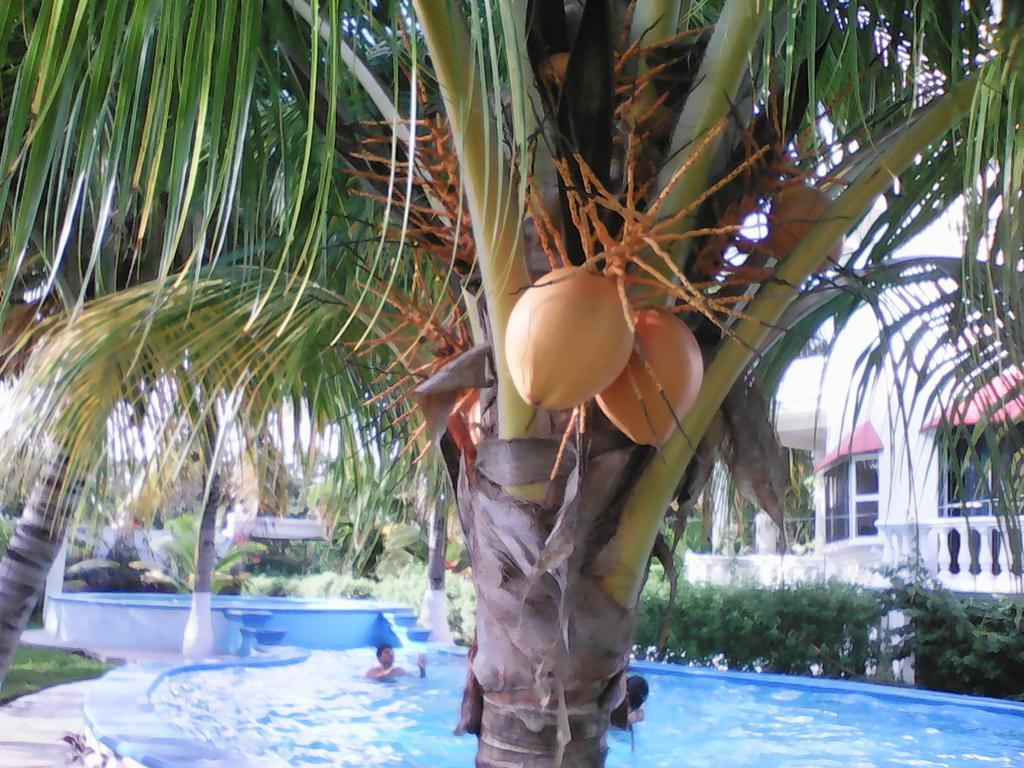 Mansion Giahn Frühstückspension Cancún